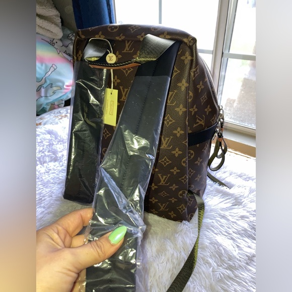 LV Backpack - Picture 6 of 10